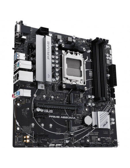 Asus Placa base Prime A620M-A-CSM, AMD A620 - Zócalo AM5, DDR5 casemod.es