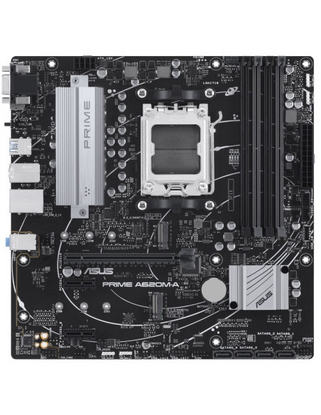 Asus Placa base Prime A620M-A-CSM, AMD A620 - Zócalo AM5, DDR5 casemod.es